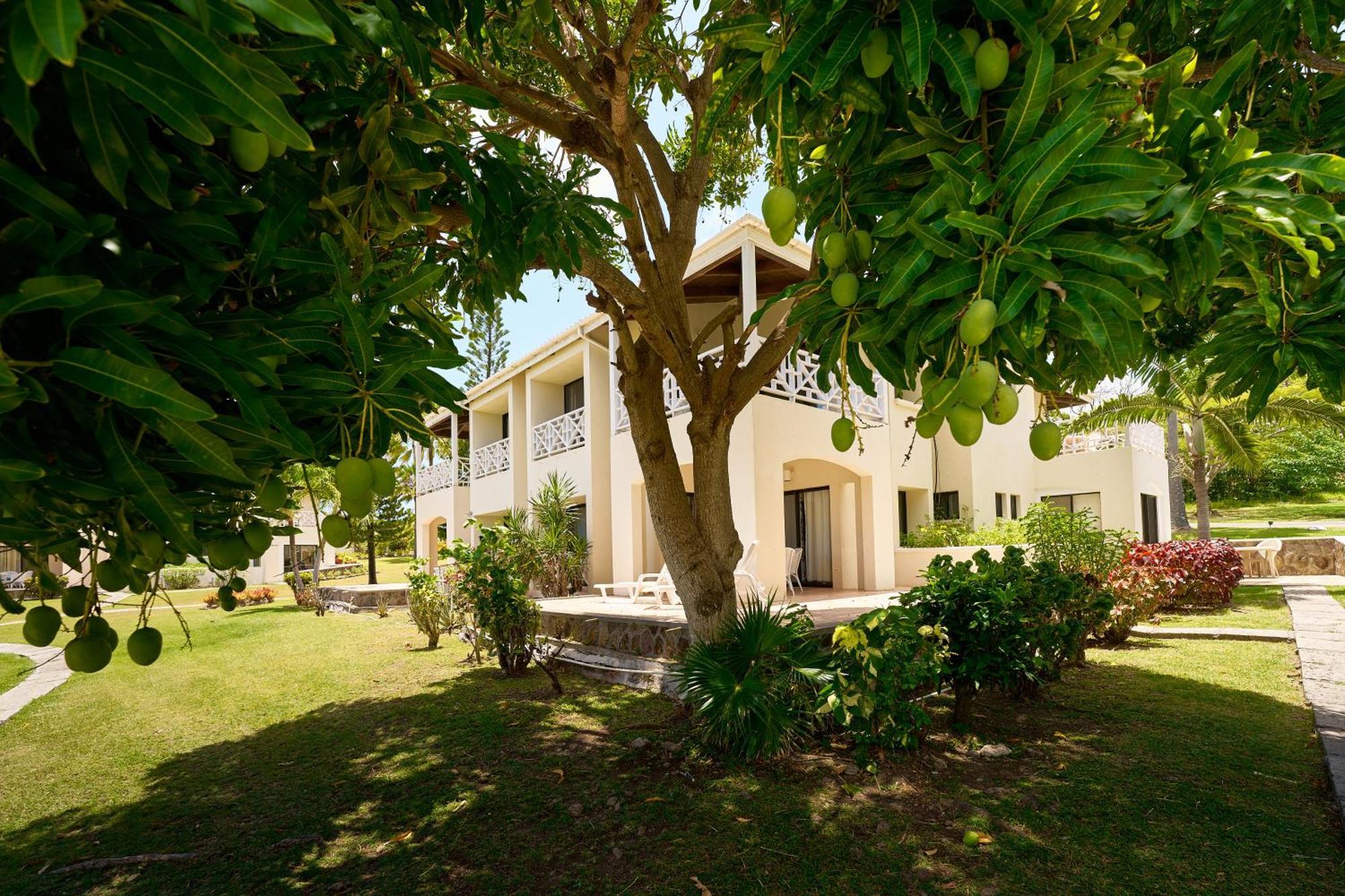 Mount Nevis Hotel Exterior photo
